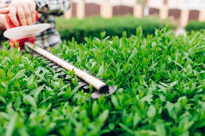 Travaux d’entretien d'espaces verts Sainte-Sigolène
