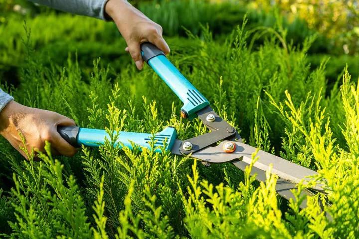 Travaux d’entretien d'espaces verts Sainte-Sigolène